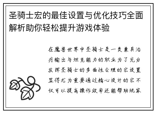 圣骑士宏的最佳设置与优化技巧全面解析助你轻松提升游戏体验